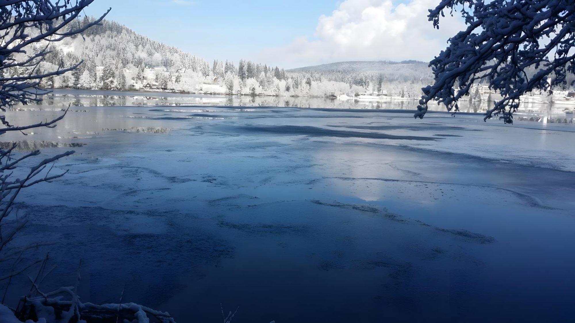 Ferienhaus Am Roesslewald Breitnau Dış mekan fotoğraf